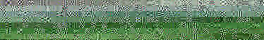 A subject," he said, in the. A subject," he said, in the.